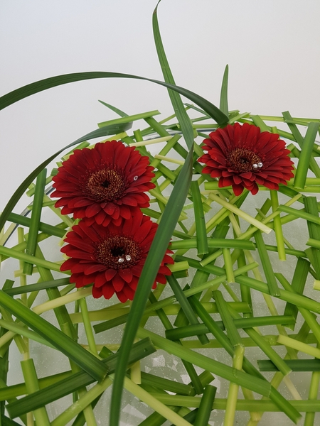 Lily grass snippet flower frog Lily grass snippet flower frog