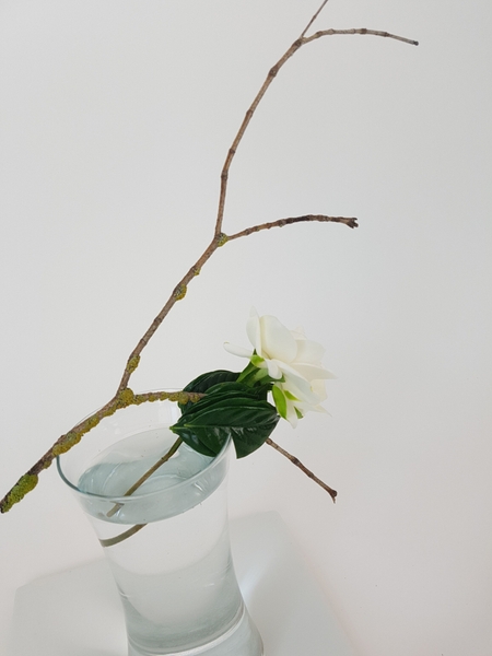 Minimalist floral design Minimalist floral design
