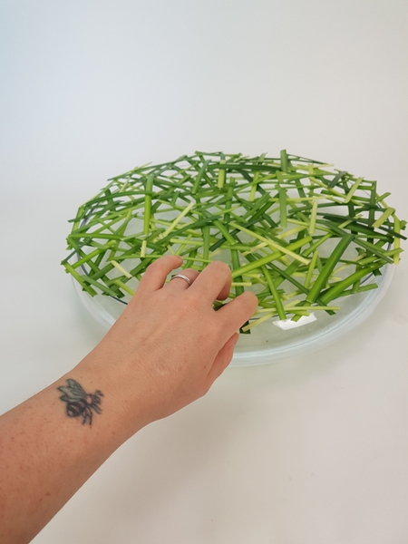Set the grass snippet grid on a shallow container Set the grass snippet grid on a shallow container