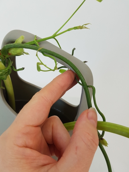 Set the stems in water to hydrate Set the stems in water to hydrate