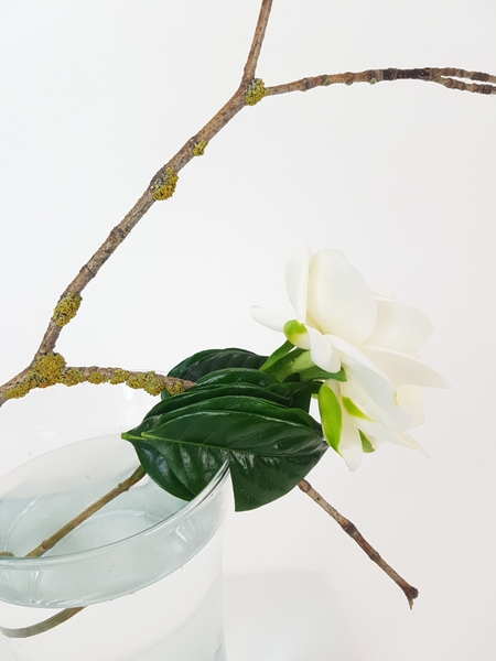 Single flower arrangement. Single flower arrangement.