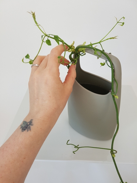 Thinner stems can be wrapped around the container to keep it in place Thinner stems can be wrapped around the container to keep it in place