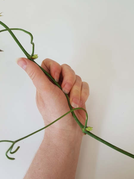 To adjust or add a curve in bigger stems pad the stem with your hand To adjust or add a curve in bigger stems pad the stem with your hand