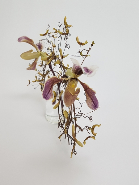 Vine armature with Lady Slipper orchids. Vine armature with Lady Slipper orchids.