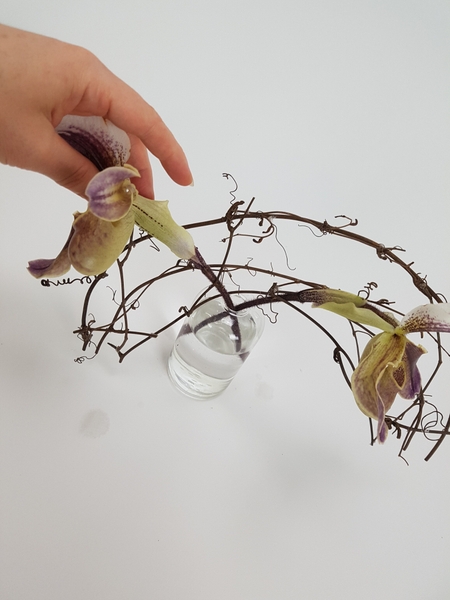 Weave another orchid stem through the armature from other side Weave another orchid stem through the armature from other side