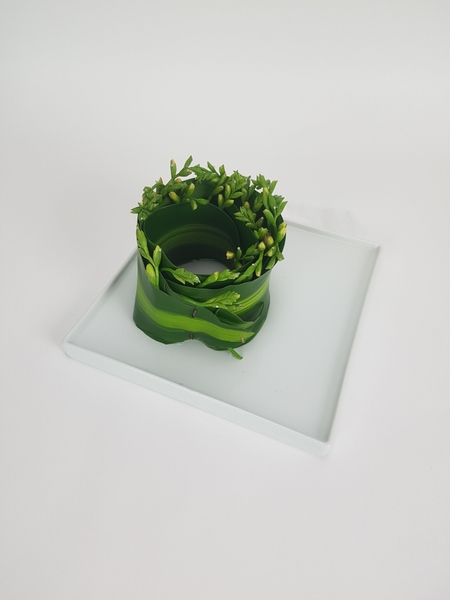 Curled foliage armature. Curled foliage armature.