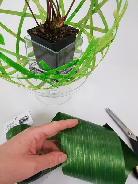 Cut a section of green ribbon on plastic to conceal the plastic pot