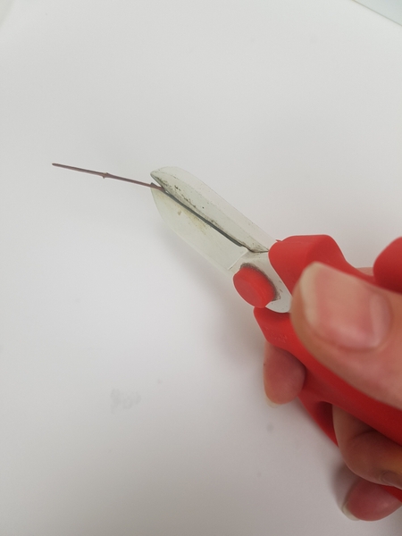 Cut a thin but sturdy twig to a sharp angle