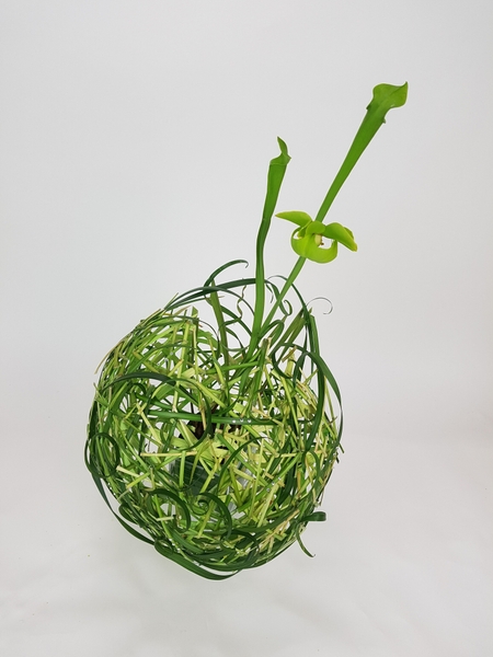 Eat up floral art design Eat up floral art design