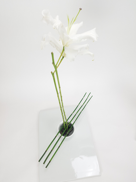 Equisetum and lily flower arrangement
