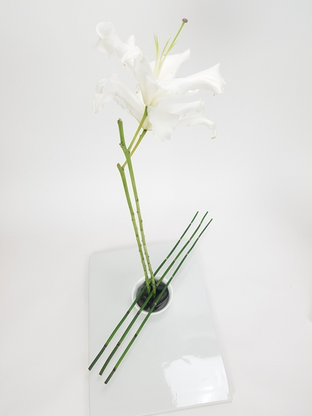 Equisetum and lily flower arrangement Equisetum and lily flower arrangement