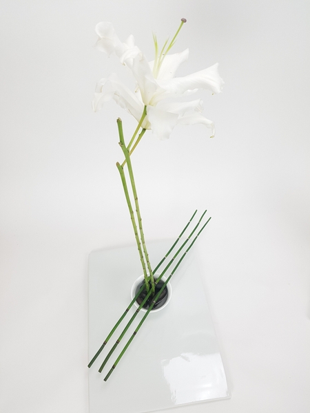 Equisetum and lily flower arrangement