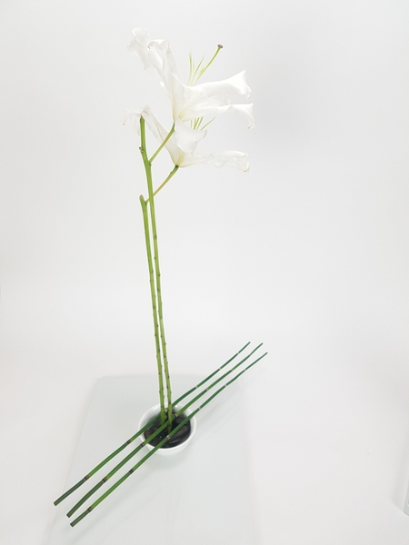 Hi-Lo floral art design Hi-Lo floral art design