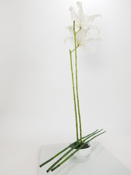 Minimalist floral design Minimalist floral design