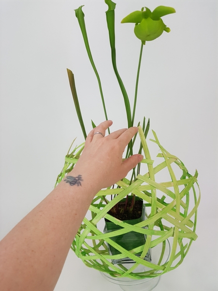 Place the design at an angle on the display container. Place the design at an angle on the display container.