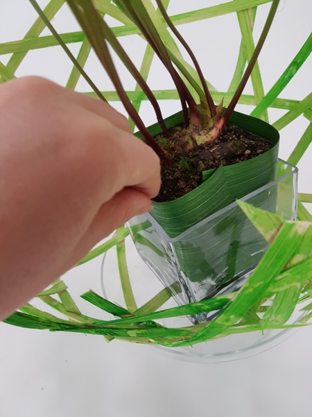 Slip the plastic between the pot and the container. Slip the plastic between the pot and the container.