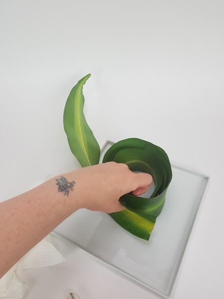The one leaf overlapping the next The one leaf overlapping the next