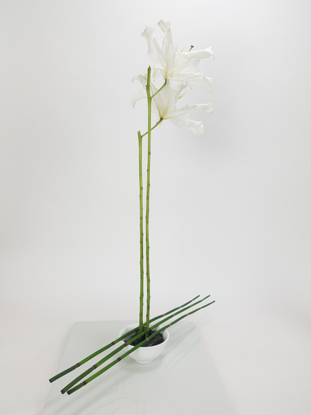 Two tall lilies stems in a floral design