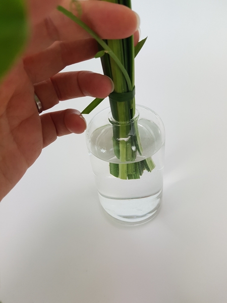 Feed the vine stem through the blades of grass so that it is in the water Feed the vine stem through the blades of grass so that it is in the water
