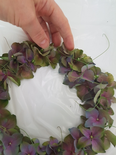 Glue in sweet pea tendrils and connect the wreath ends. Glue in sweet pea tendrils and connect the wreath ends.