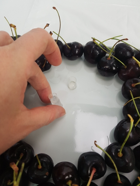 I wanted the orchids to rest slightly away from the surface and at an angle so I glued in two water tubes. I wanted the orchids to rest slightly away from the surface and at an angle so I glued in two water tubes.