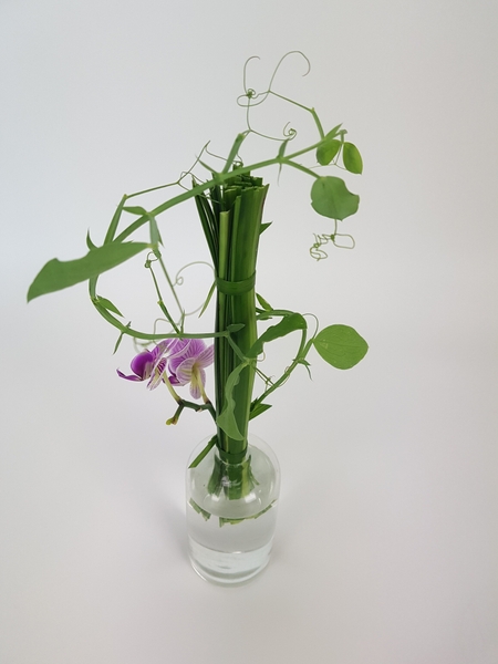 Lily grass bundle for a Phalaenopsis and sweet pea design Lily grass bundle for a Phalaenopsis and sweet pea design