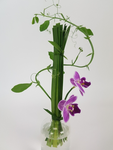 Lily grass, Phalaenopsis and sweet pea vine design Lily grass, Phalaenopsis and sweet pea vine design