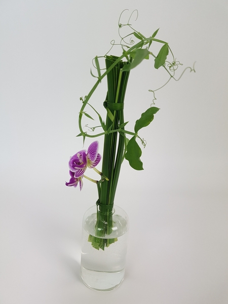 Phalaenopsis, lily grass and sweet pea design Phalaenopsis, lily grass and sweet pea design