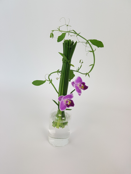 Phalaenopsis, lily grass and sweet pea flower arrangement
