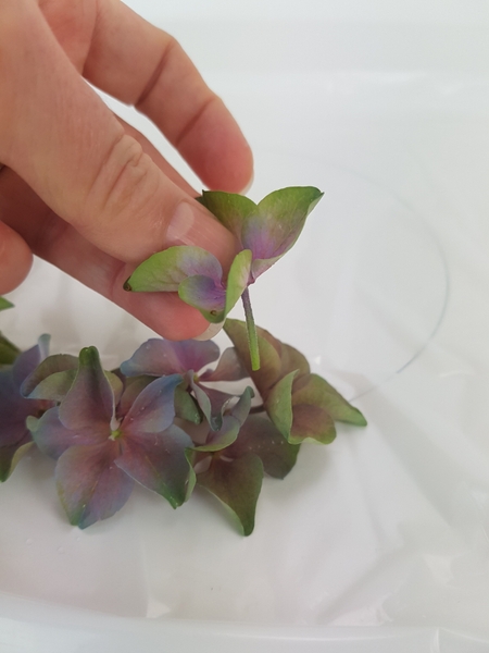 Place the florets with their stems facing down and as deep as possible so that it will rest in the water to hydrate the flower. Place the florets with their stems facing down and as deep as possible so that it will rest in the water to hydrate the flower.