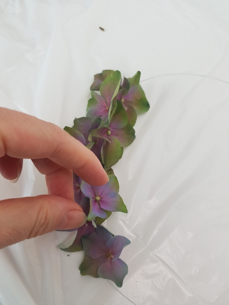 Snuggle the floret into the one before. Try to glue any place the petals overlap. Also try to make the connection as high as possible so that it will not come unglued when resting in the water. Snuggle the floret into the one before. Try to glue any place the petals overlap. Also try to make the connection as high as possible so that it will not come unglued when resting in the water.