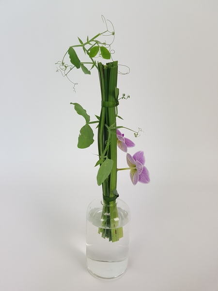Sweet pea vine flower arrangement Sweet pea vine flower arrangement