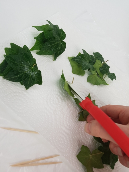 Wash the ivy leaves and cut away the stems. Wash the ivy leaves and cut away the stems.
