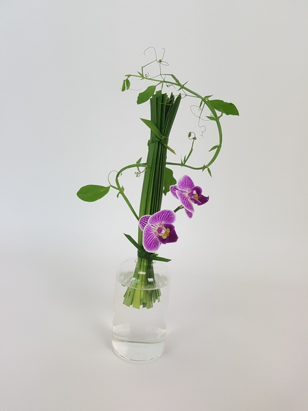 Wonder floral art design Wonder floral art design