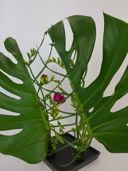 A vein veil to frame delicate freesias A vein veil to frame delicate freesias