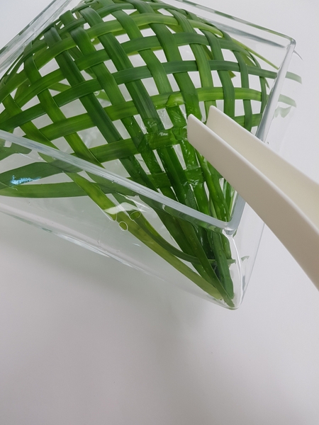 Fill the container with water and slip the flowers through the weave. Fill the container with water and slip the flowers through the weave.