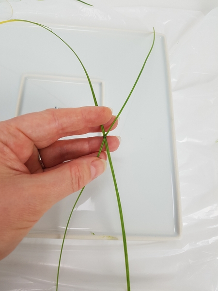Knot two strips in the middle. Place the strips on the upturned (underside) of a shallow container. Knot two strips in the middle. Place the strips on the upturned (underside) of a shallow container.