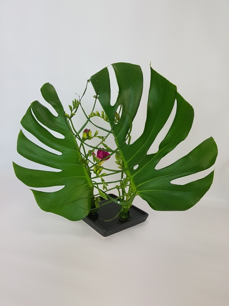 Monstera and freesia flower design                