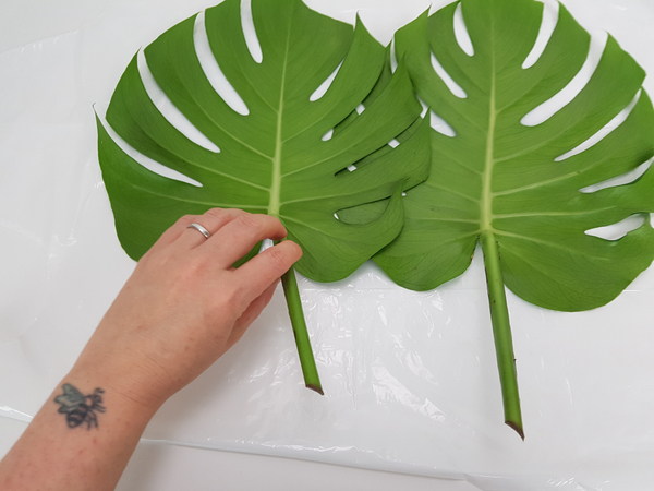 Place the leaves side by side on a flat working surface.  You are going to cut the leaves on the sides that faces in.