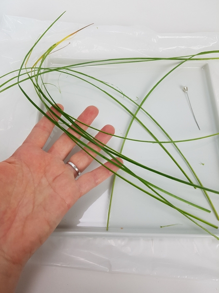 Rip the grass into roughly the same size strips. Rip the grass into roughly the same size strips.
