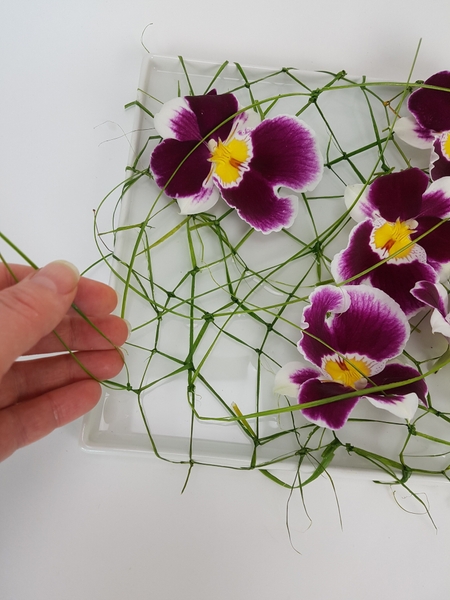 Set your flowers in the shallow container. The flower stems should be in water and the flower resting above the water on the knotted net of ripped grass. Set your flowers in the shallow container. The flower stems should be in water and the flower resting above the water on the knotted net of ripped grass.