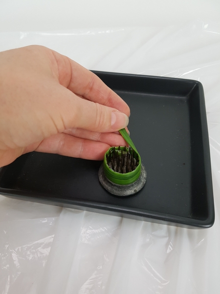 Wrap the leaf around the outside of the kenzan, leaving the teeth open for designing. Wrap the leaf around the outside of the kenzan, leaving the teeth open for designing.