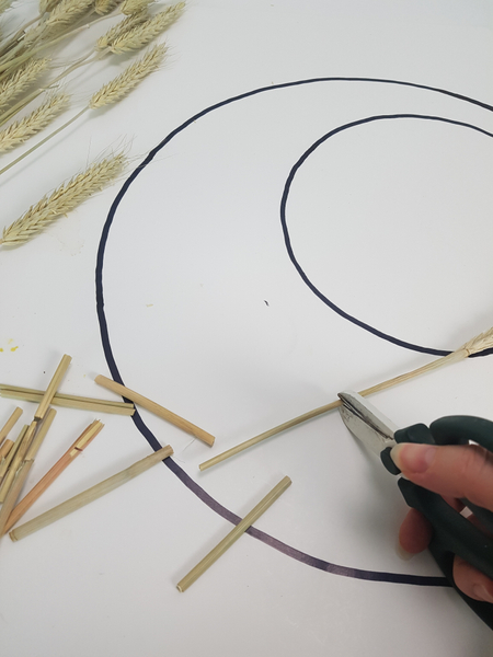 Craft the first layer of the armature from sturdy dried grass