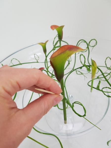 Let the flower stems stand upright on the vine. Let the flower stems stand upright on the vine.