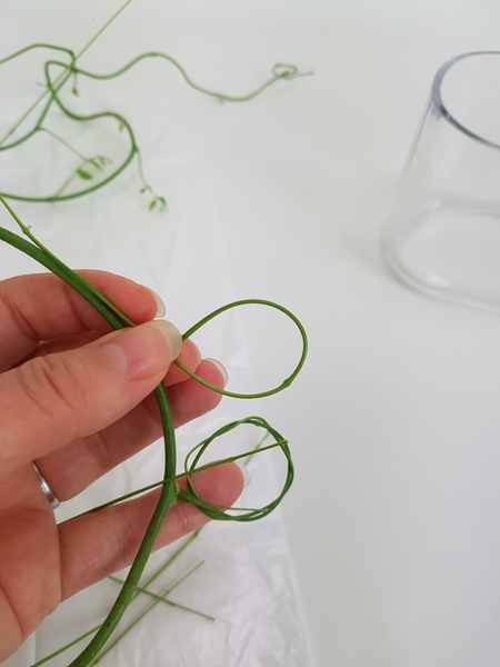 Loop the next stem Loop the next stem