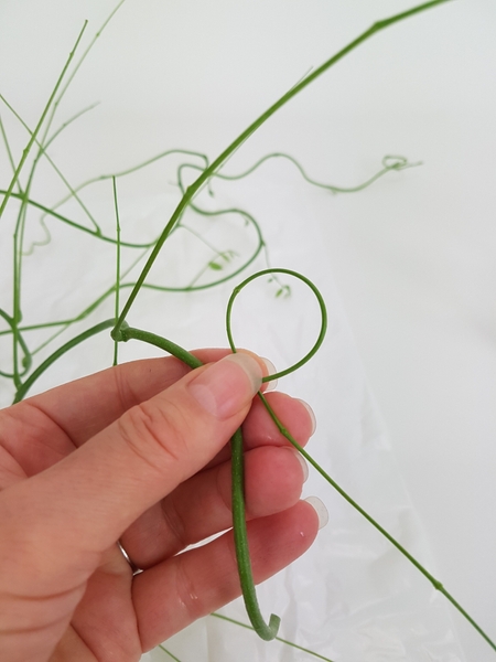 Loop the stem Loop the stem