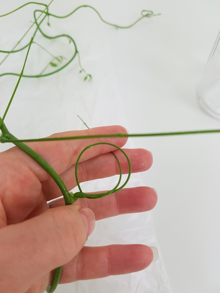 Press the stem through the loop as if you are making a knot Press the stem through the loop as if you are making a knot