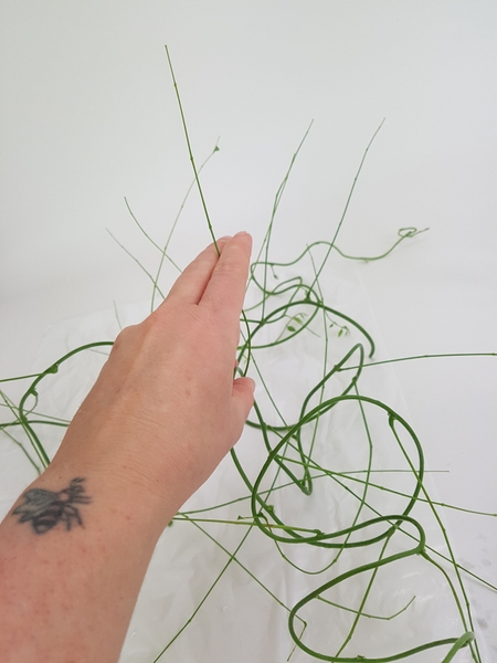 The vine is now ready to weave into wreaths The vine is now ready to weave into wreaths