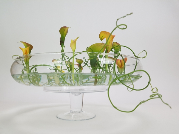 Wreath Vine Season floral art design Wreath Vine Season floral art design