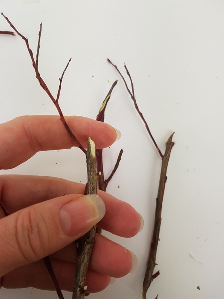A sturdy stick for a more natural look A sturdy stick for a more natural look